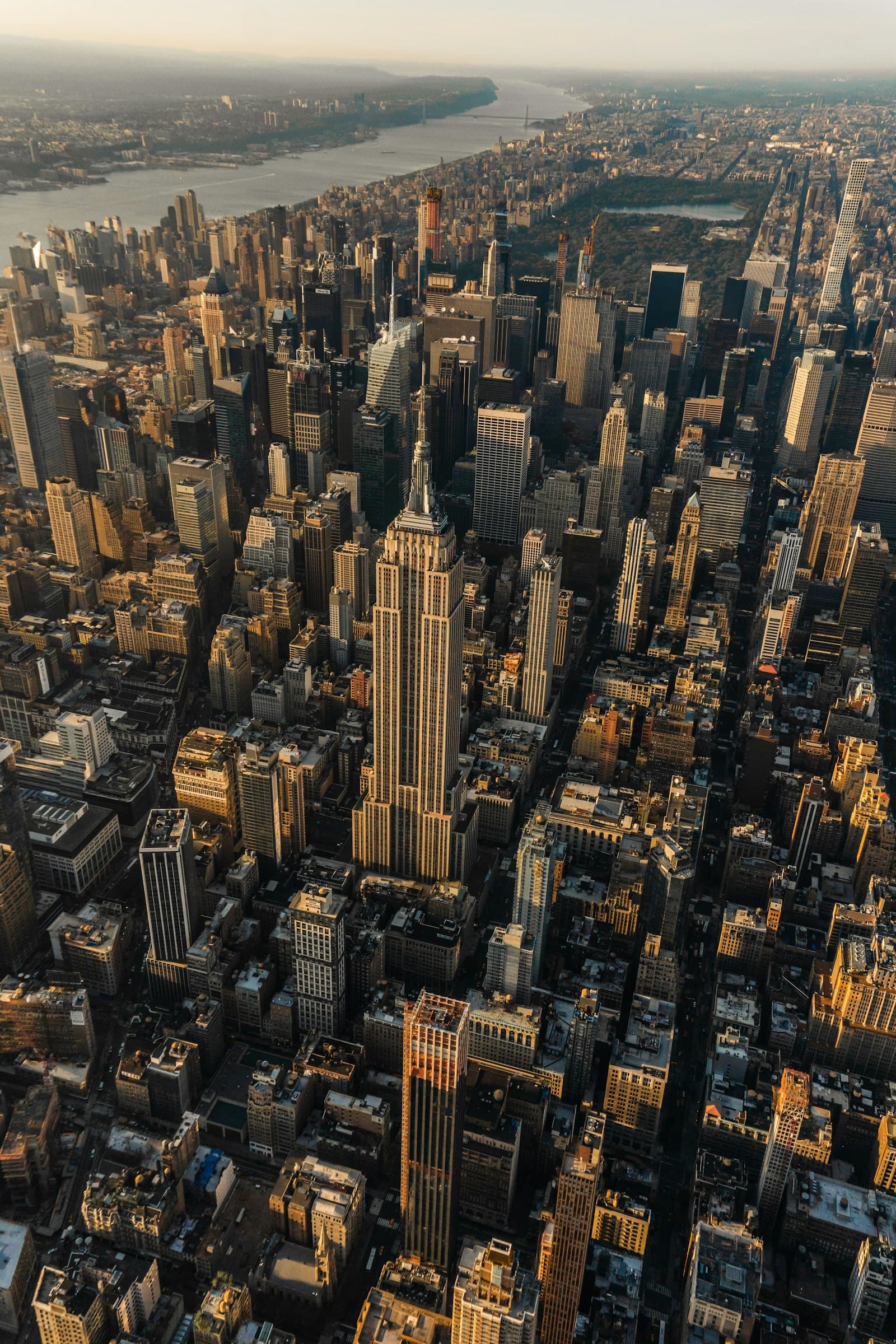 NYRETS consultant reviewing NYC property tax documents